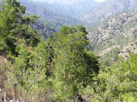 Troodos mountains