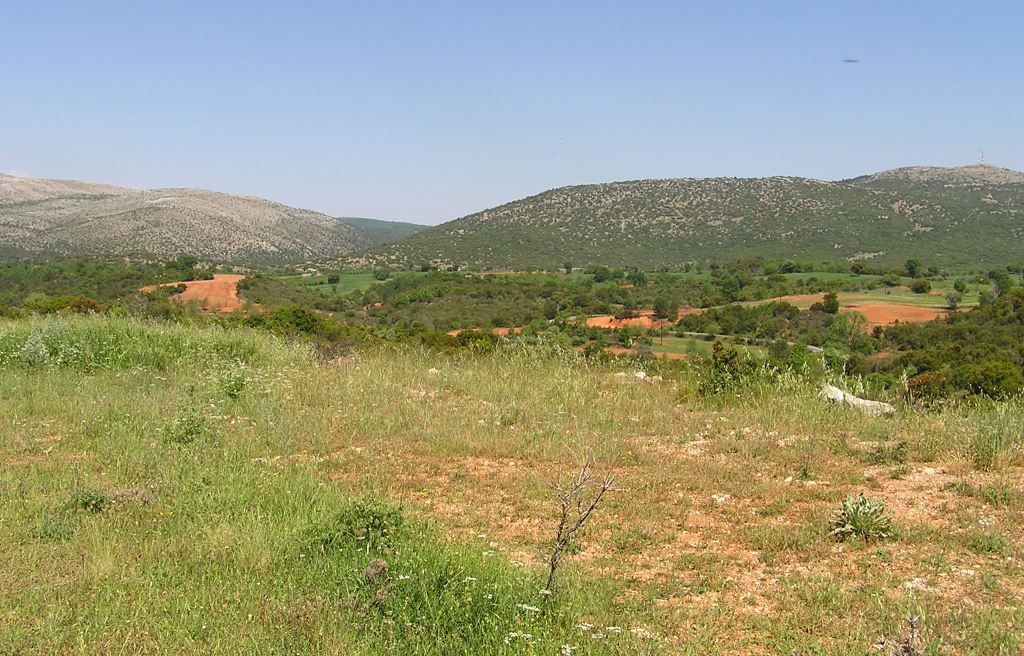 plateau between cities of Tripoli and Sparta
