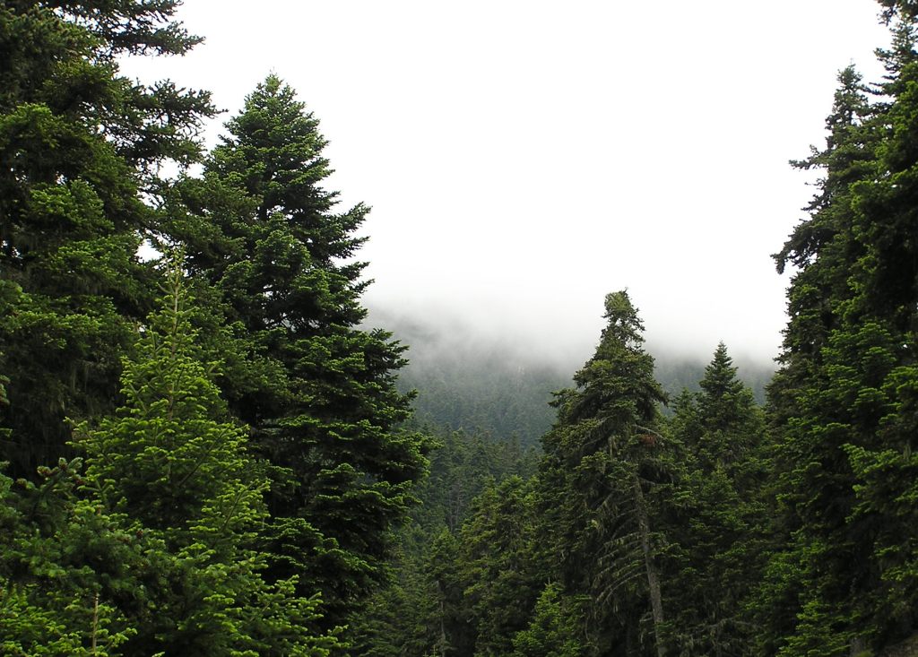  Taygetos mountains