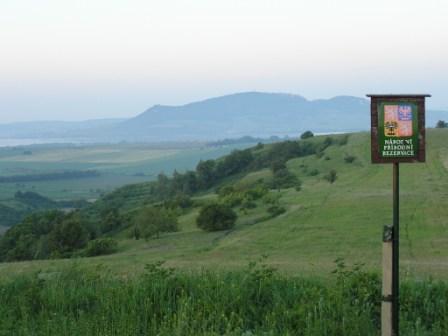 Rann pohled pes step na Pavlovsk kopce