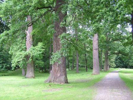 Blatensk zmeck park